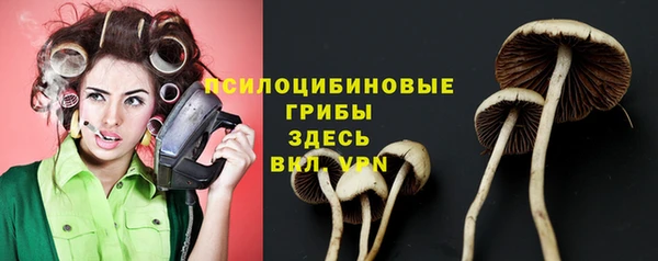 МДПВ Новокубанск