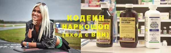 метадон Няндома
