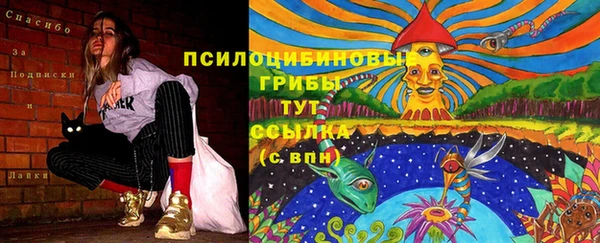 mdma Нязепетровск