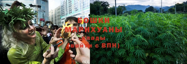 МДПВ Новокубанск