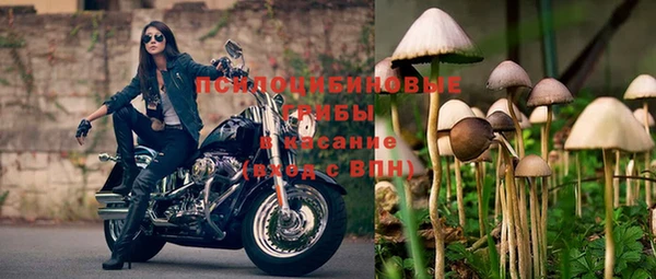 мяу мяу кристалл Новодвинск