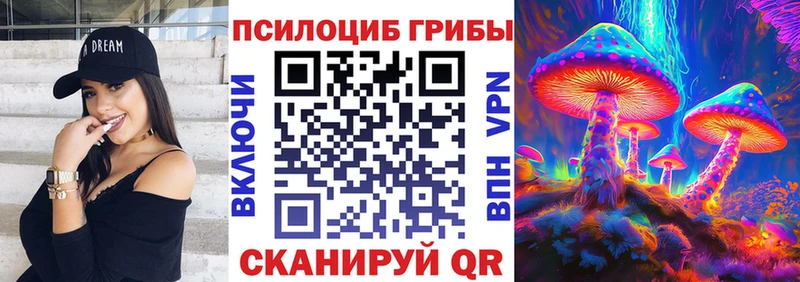 где найти   Бугуруслан  кракен ссылки  Галлюциногенные грибы Psilocybe 