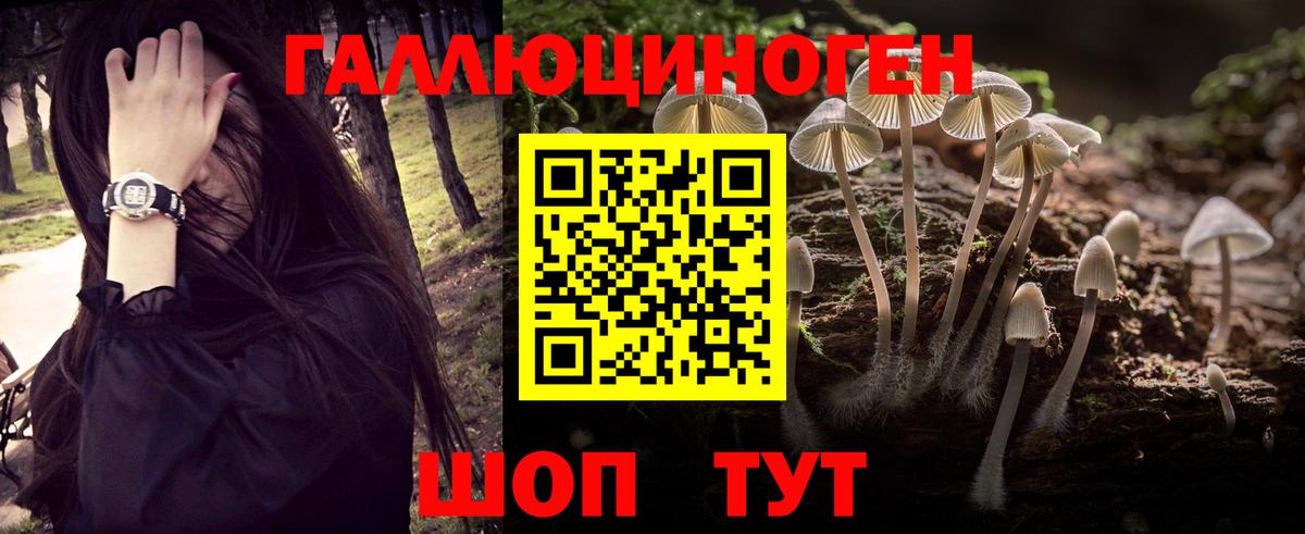 Псилоцибиновые грибы Magic Shrooms Бугуруслан